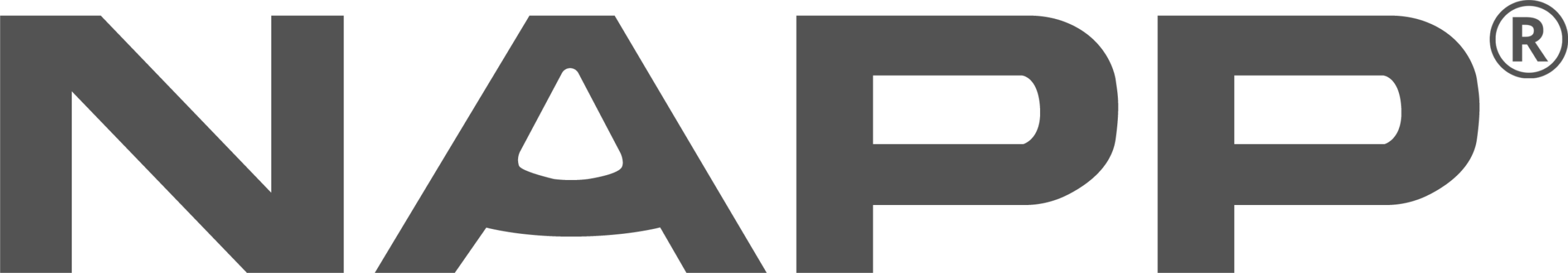 NAPP-1-scaled.png
